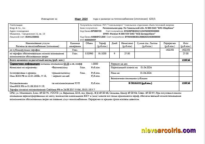 Belarus Gomel energo business utility bill